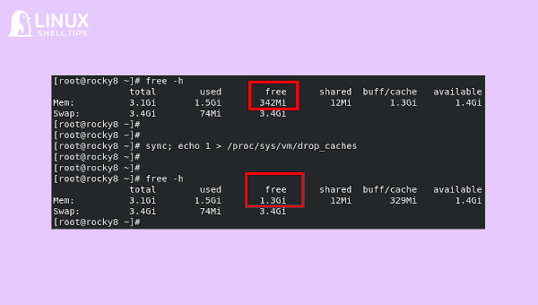 Empty Buffer and Cache Memory in Linux