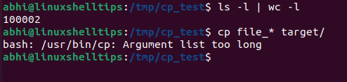 bash: /usr/bin/cp: Argument list too long