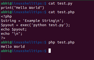 php run python script