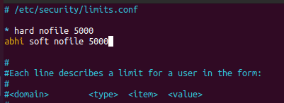 Set Open File Limit in Linux