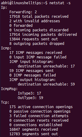 Check Linux Network Statistics