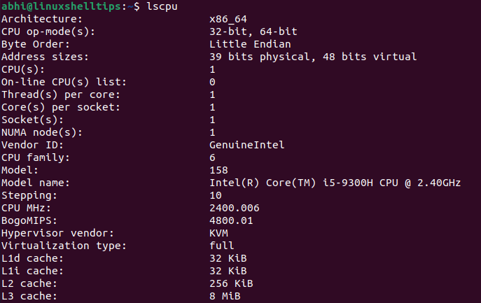 Prints CPU Information