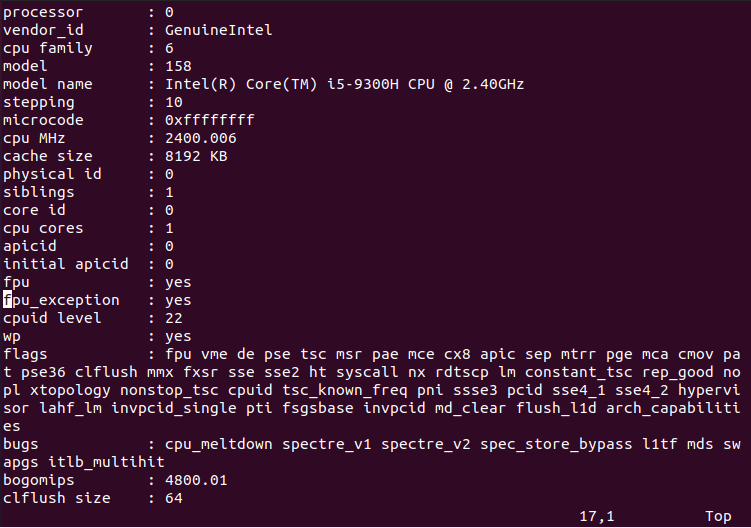 View CPU Info in Linux