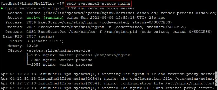 Check NGINX Status on RHEL