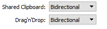 Enable Shared Clipboard and Drag n Drop