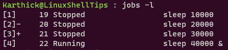 List Running Linux Jobs