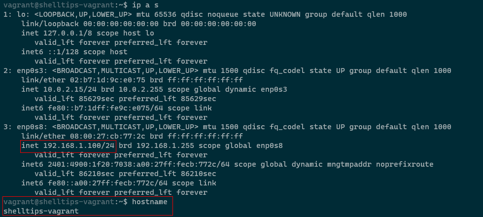 Check Vagrant VM IP and HostName