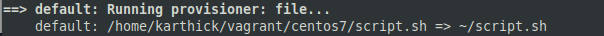 File Provisioner in Vagrant