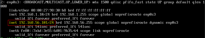 IP Address Assignment