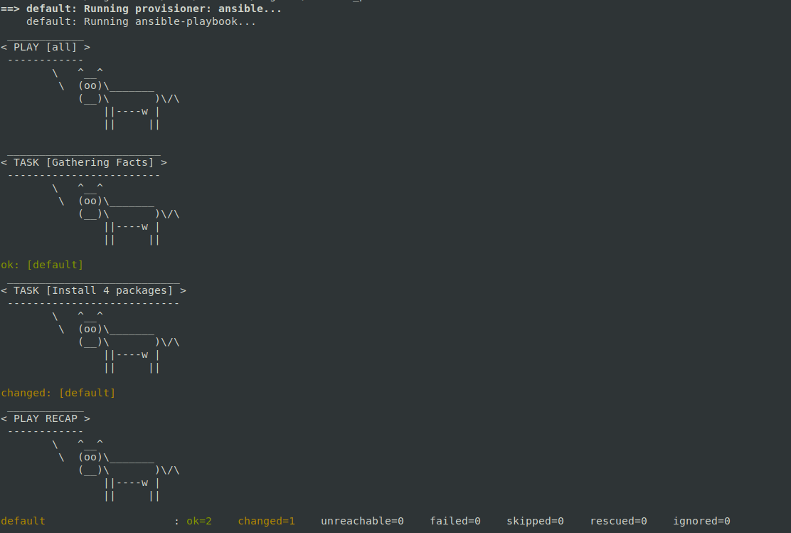 Running Ansible Playbook in Virtual Machine