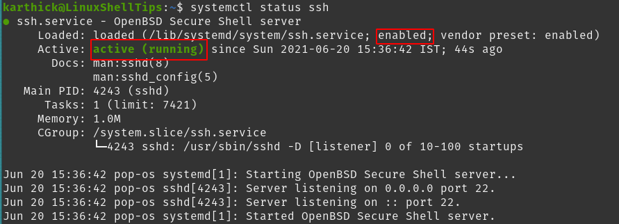 Check SSH Status