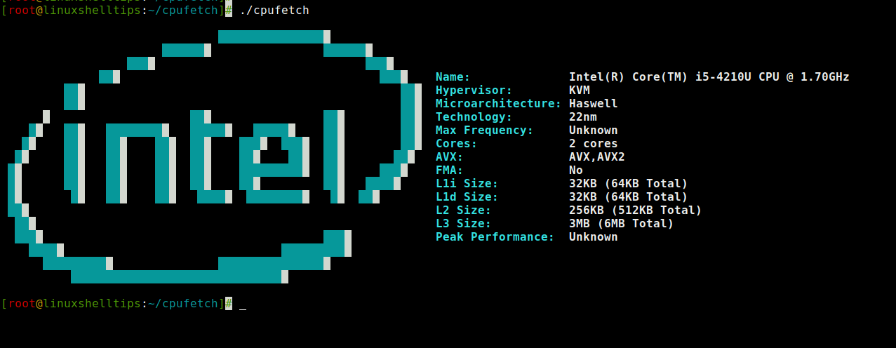 Check Linux CPU Info