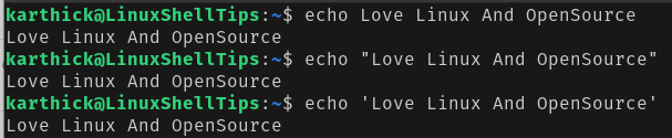 echo print output