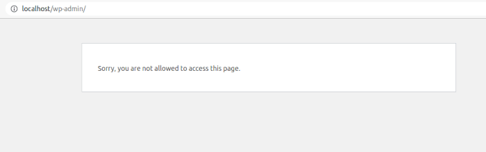 WordPress Admin Access Error