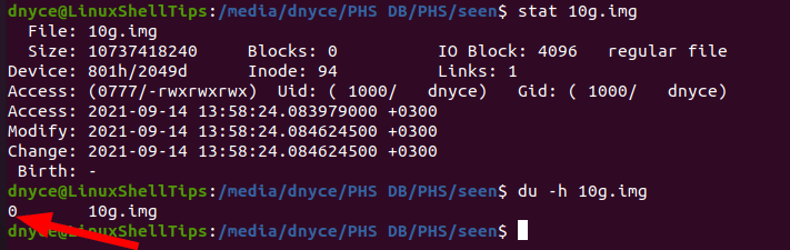 Dummy Binary Image File