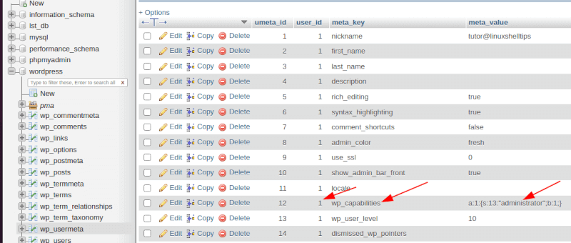 WordPress Users Metadata Table