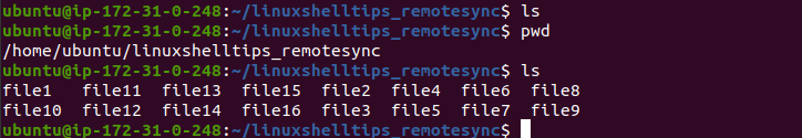 Confirm File Synchronization in Linux