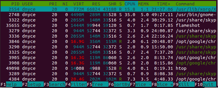 List Linux Process Information