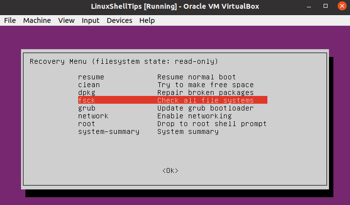 Ubuntu Fsck Option