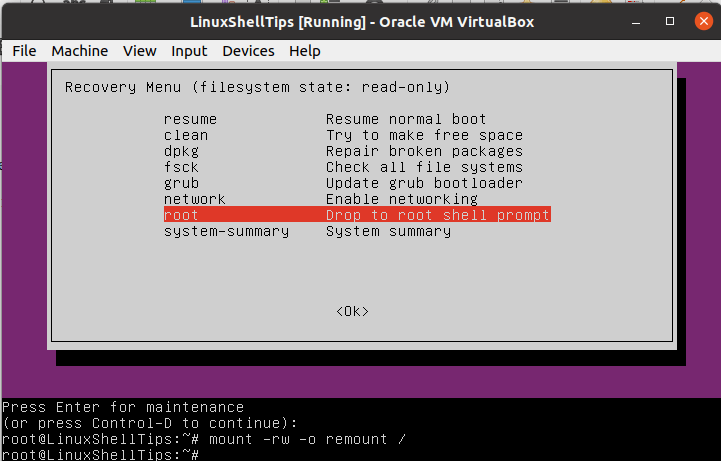 Ubuntu Mount Root Filesystem