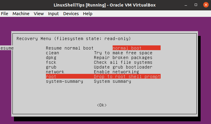 Ubuntu Root Shell Prompt