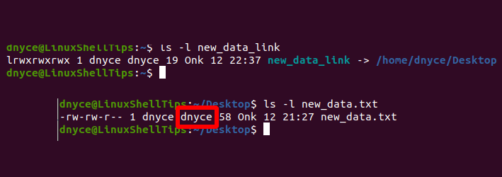 View Symbolic File Ownership Group