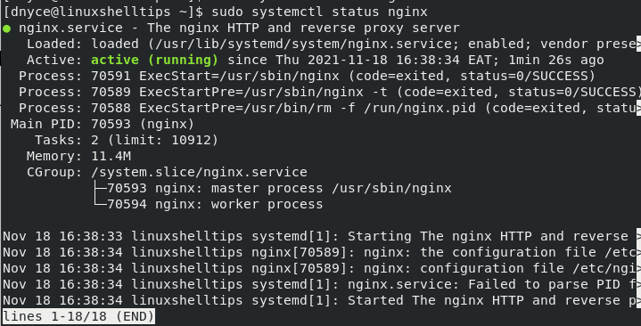 Check Nginx Status