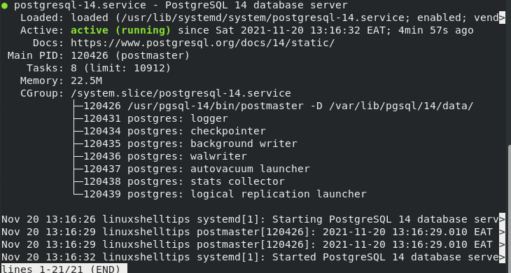 Check PostgreSQL Status