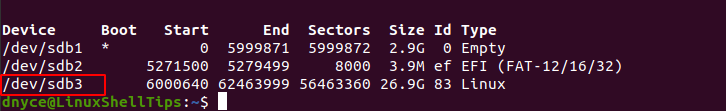 Identify Ubuntu Filesystem