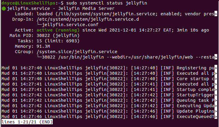 Check Jellyfin Status in Ubuntu