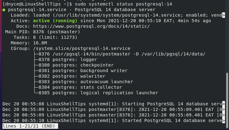 Check PostgreSQL Status