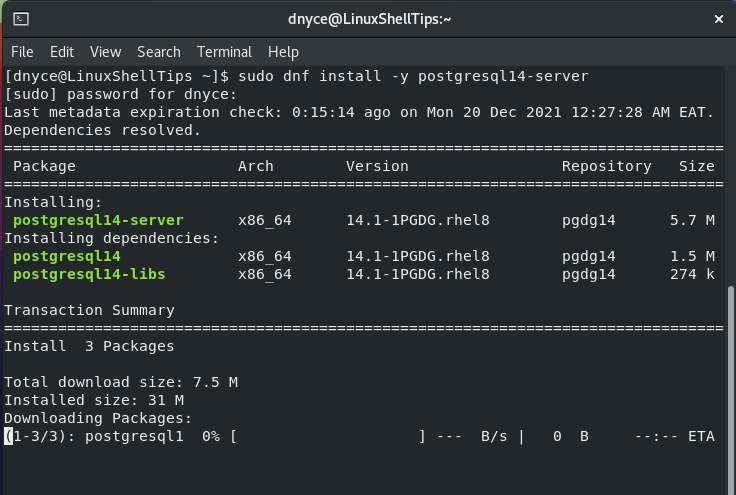 Install PostgreSQL in Rocky Linux