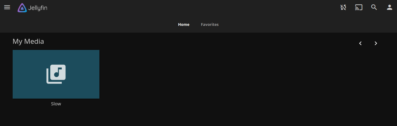 Jellyfin Media Library