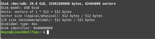 Mount Linux Mint Partition