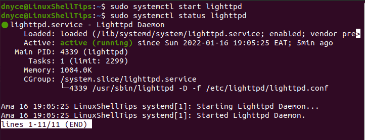 Check Lighttpd in Ubuntu