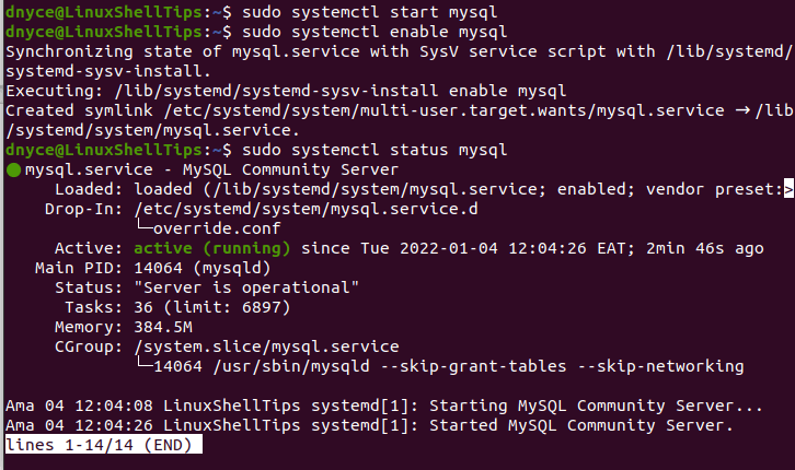 Check MySQL Running Status