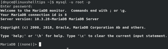 Connect MySQL Database