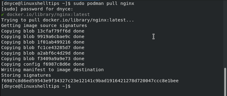 Download Podman Nginx Container