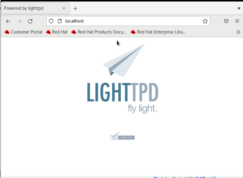 Check Lighttpd in RHEL