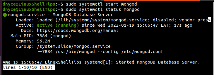 Check MongoDB on Ubuntu
