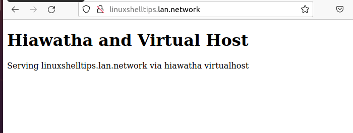 Check Virtual Host Website