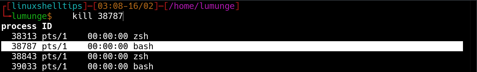 Zsh Kill Command