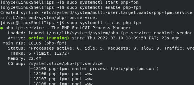 Check PHP-FPM Status