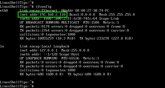 Confirm IP Address of Alpine Linux