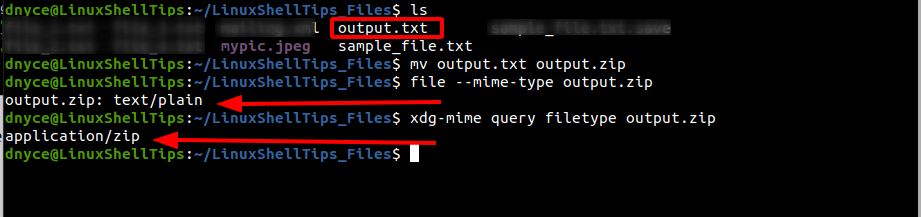 Correctly Find File MIME Type in Linux