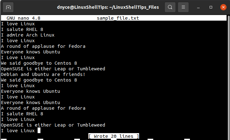 Create File with Duplicate Lines