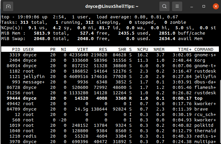 List Running Linux Processes