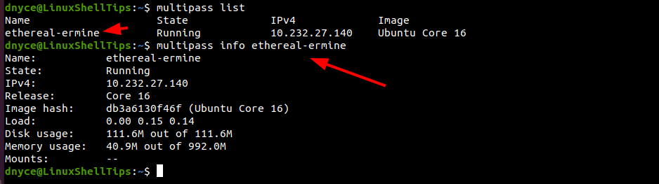 Multipass Check Ubuntu Information
