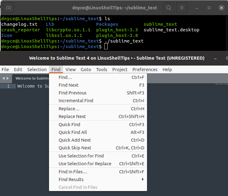 Sublime Text Find Tab
