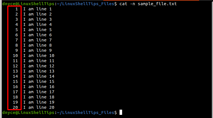 View File with Line Numbers